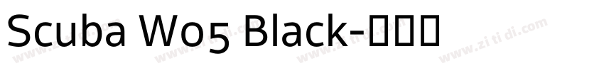 Scuba W05 Black字体转换
